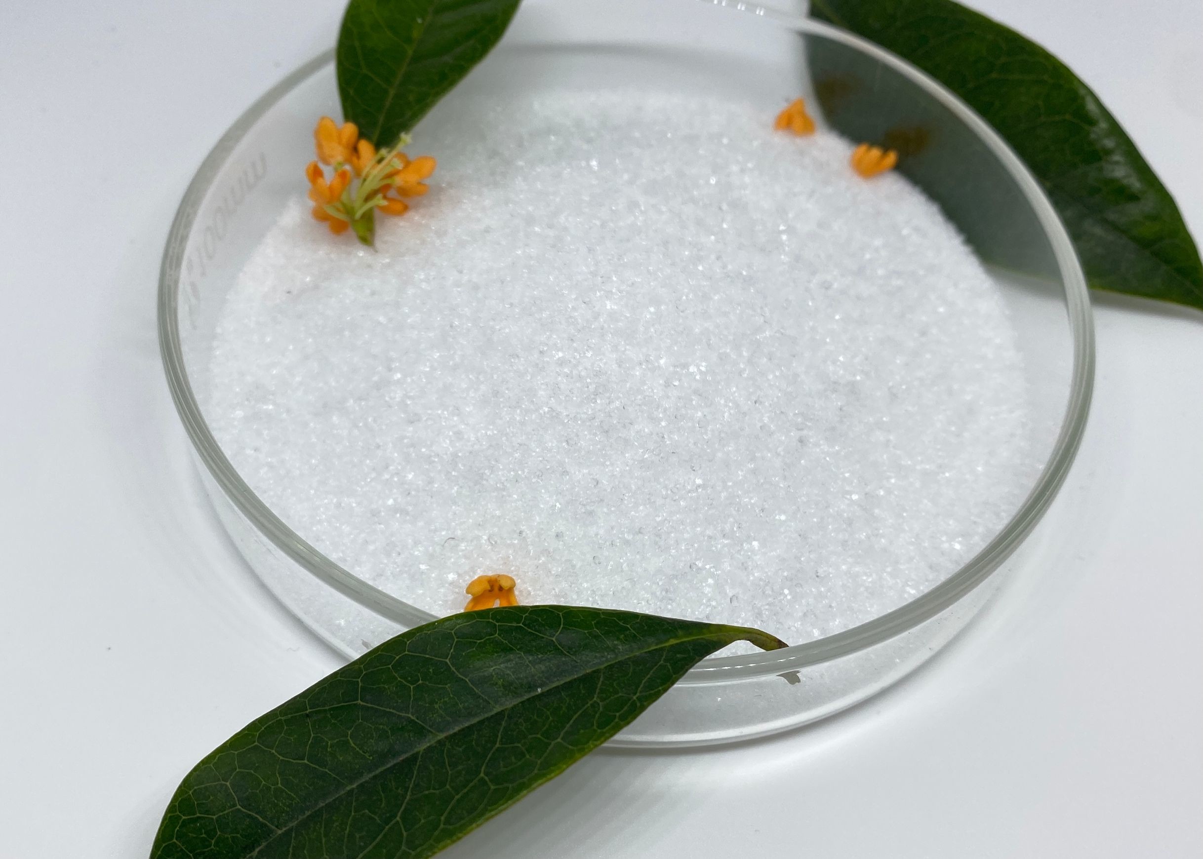 Cas No 7722 76 1 Monoammonium Phosphate MAP Fertilizer 12-61-0 For Crops